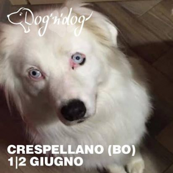Immagine evento