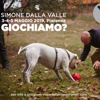 Immagine evento