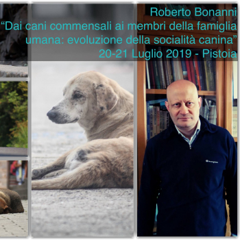 Immagine evento