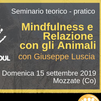 Immagine evento