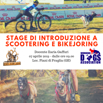Immagine evento
