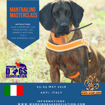 Master Class, Addestramento cani on line