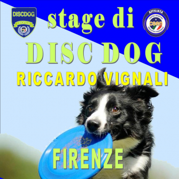 Immagine evento