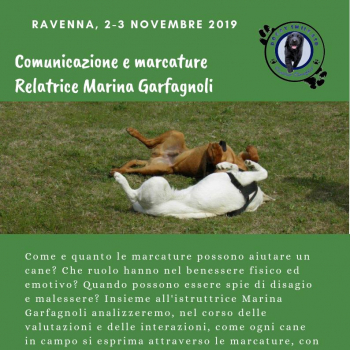 Immagine evento