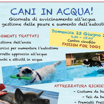 Immagine evento