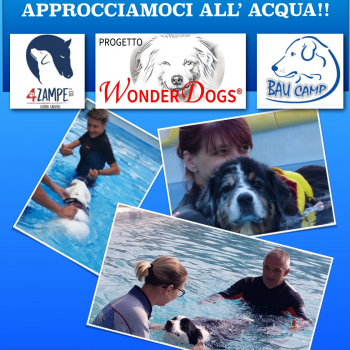 Immagine evento