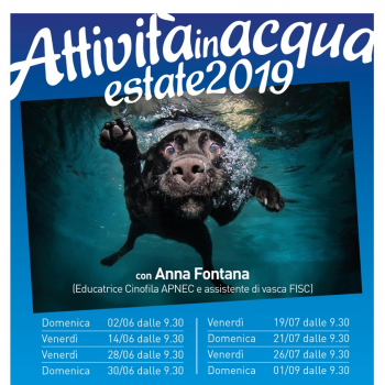 Immagine evento
