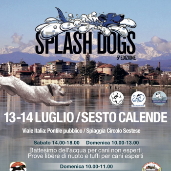 Immagine evento