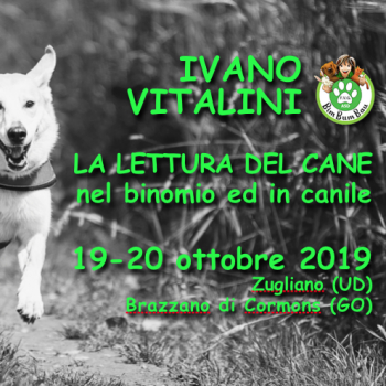 Immagine evento