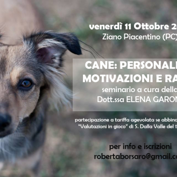 Immagine evento