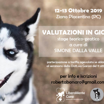 Immagine evento