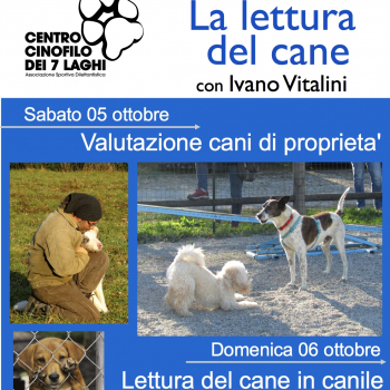 Immagine evento