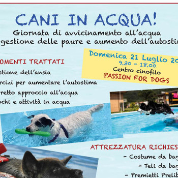 Immagine evento