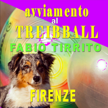 Immagine evento