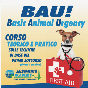 Immagine evento