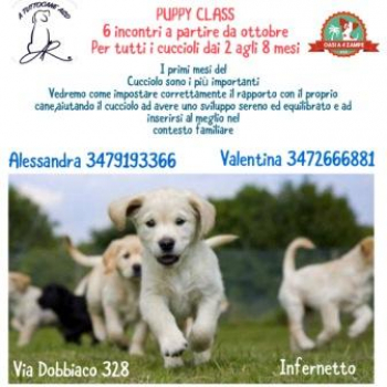 Immagine evento