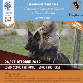 Immagine evento