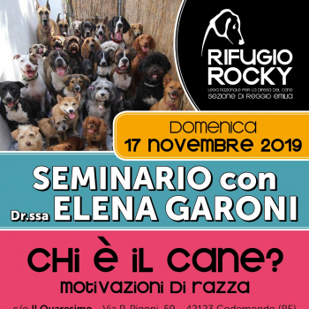 Immagine evento
