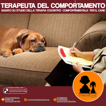 Immagine evento