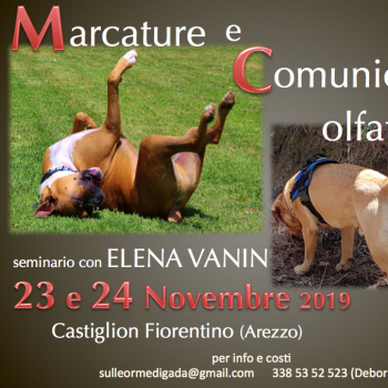 Immagine evento