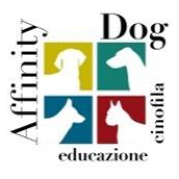 Organizzazione