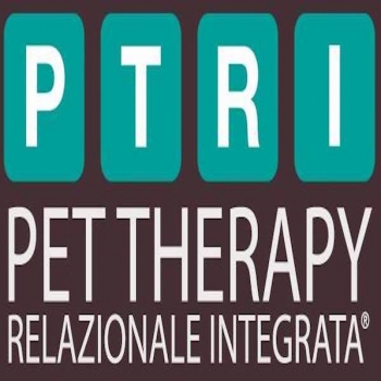 Organizzazione