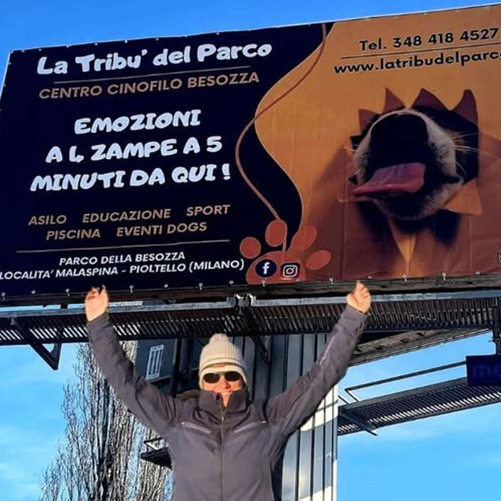 Organizzazione