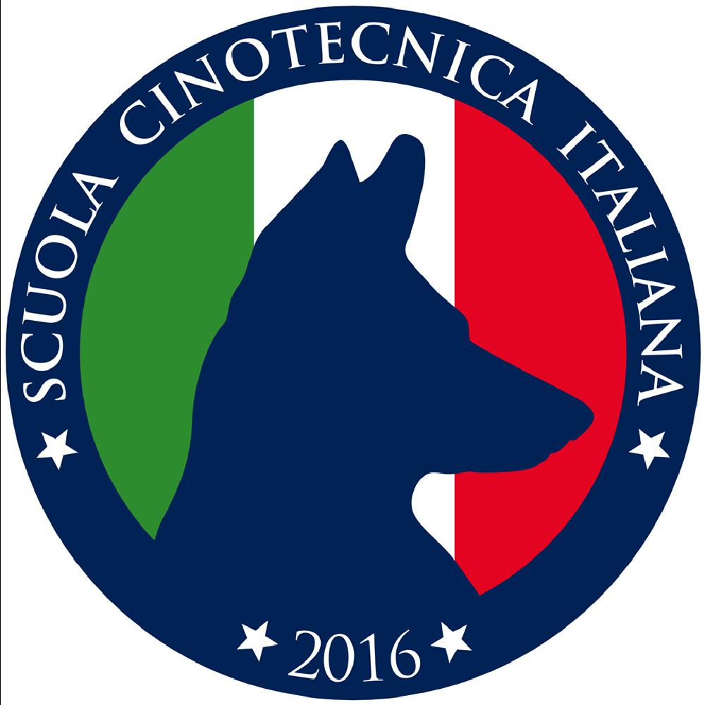 Organizzazione