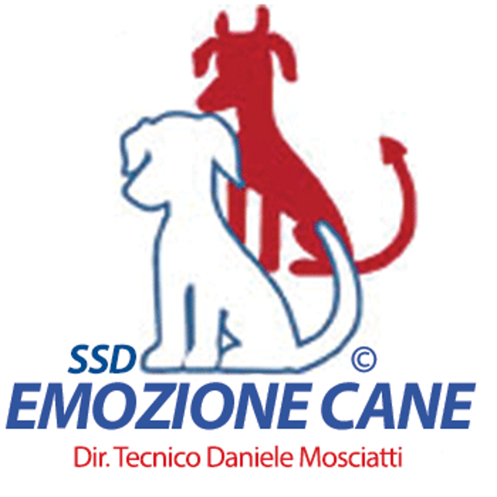 Organizzazione