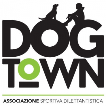 Organizzazione