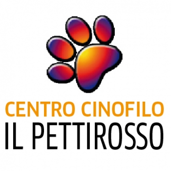 Immagine utente