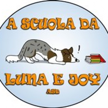 Immagine utente