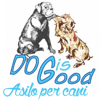 Organizzazione