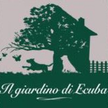 Immagine utente