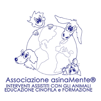 Organizzazione