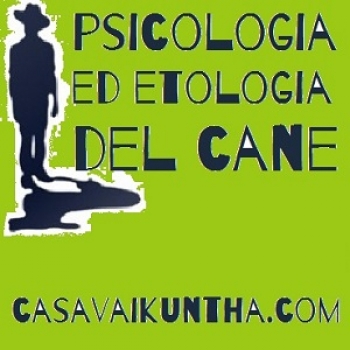 Immagine utente