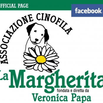 Immagine utente