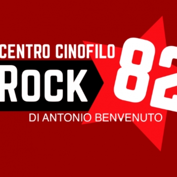Organizzazione