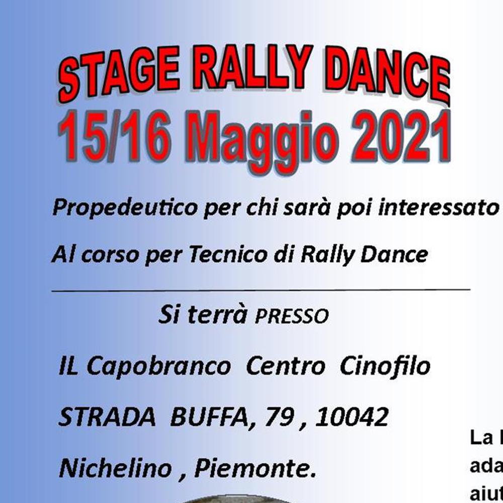 Organizzazione
