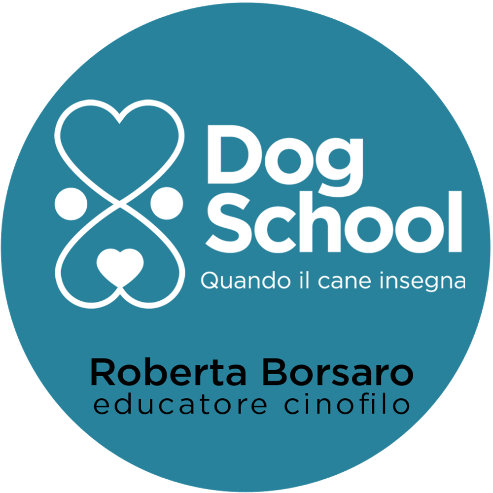 Organizzazione