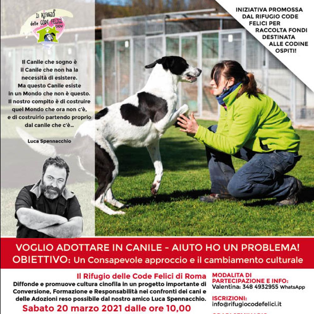 Immagine utente