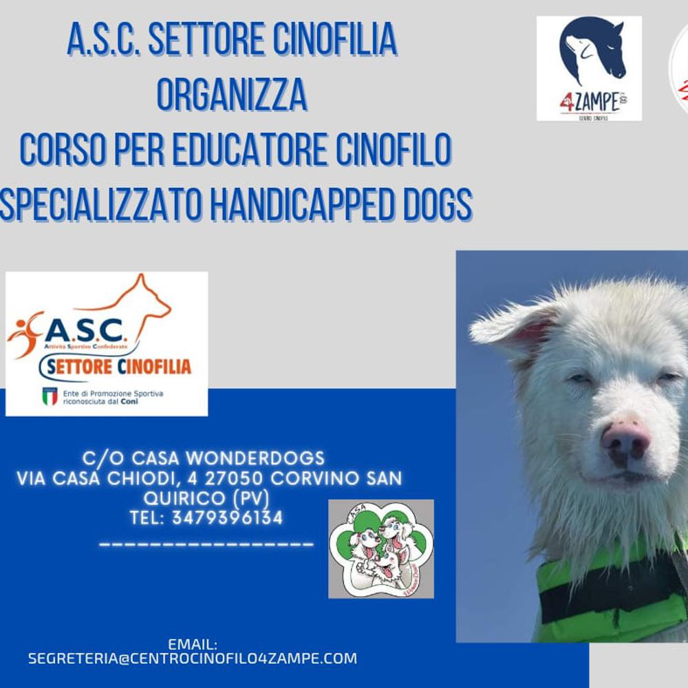 Organizzazione
