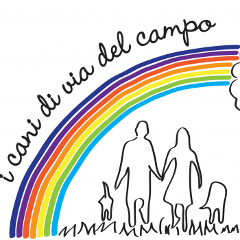 Organizzazione